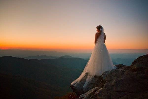 Amanda Prince Photography