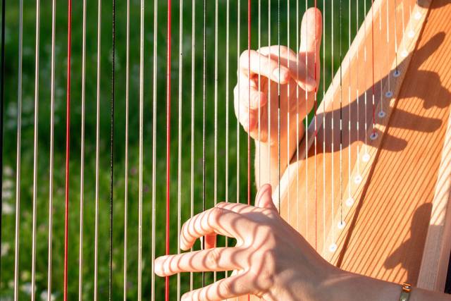 Korenna Hodge, Harpist