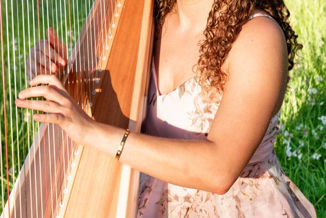 Korenna Hodge, Harpist