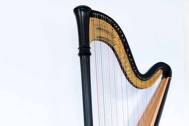 Korenna Hodge, Harpist