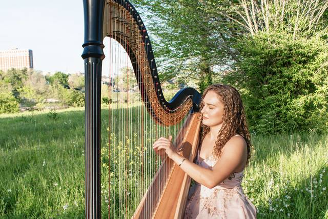 Professional Harpist