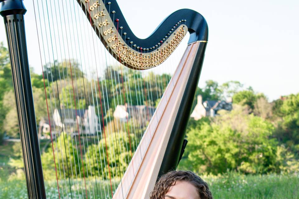 Korenna Hodge, Harpist