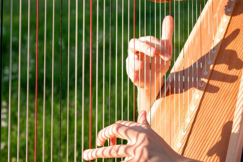 Korenna Hodge, Harpist