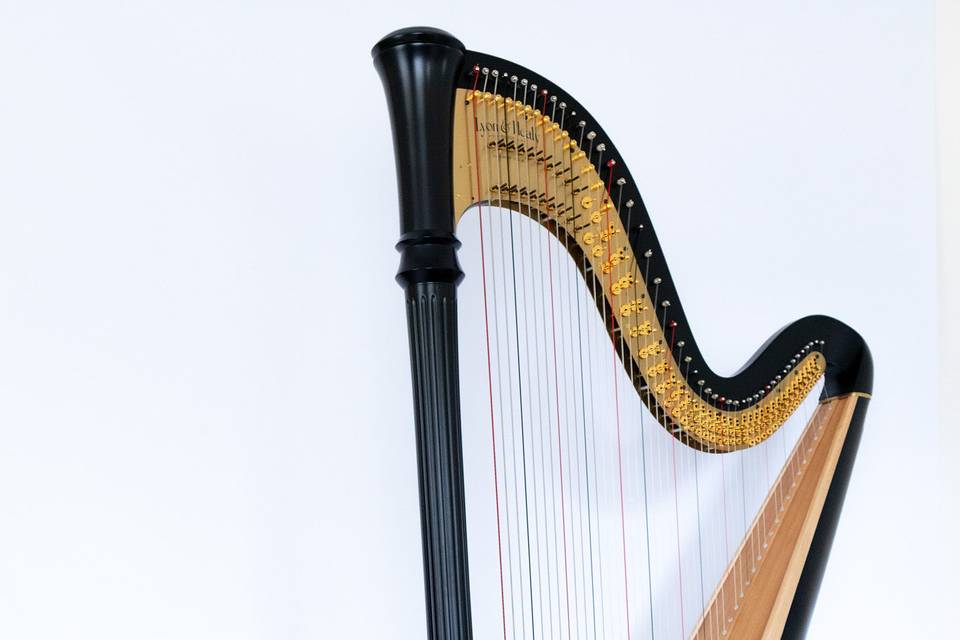 Korenna Hodge, Harpist