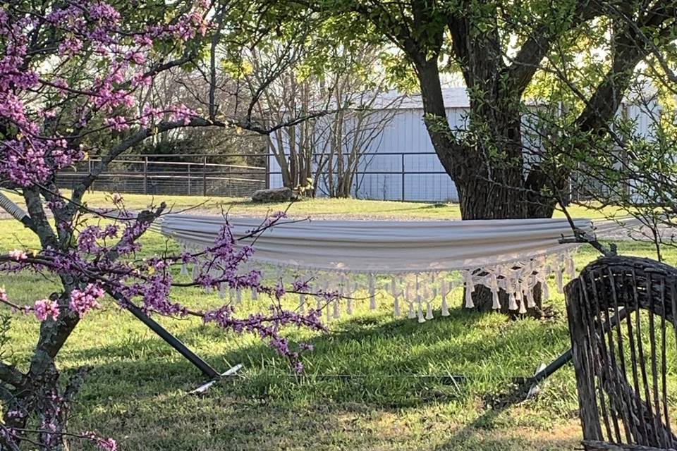 Spring time