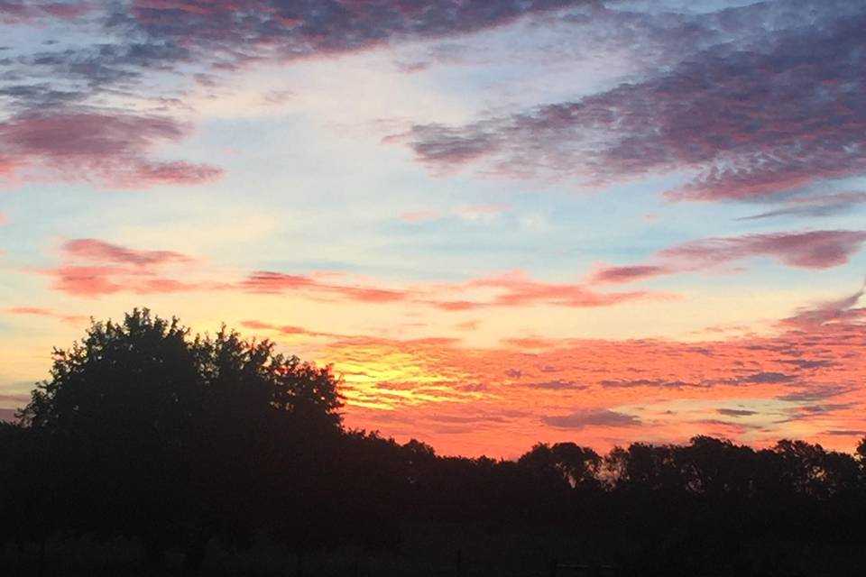 Crimson sunsets