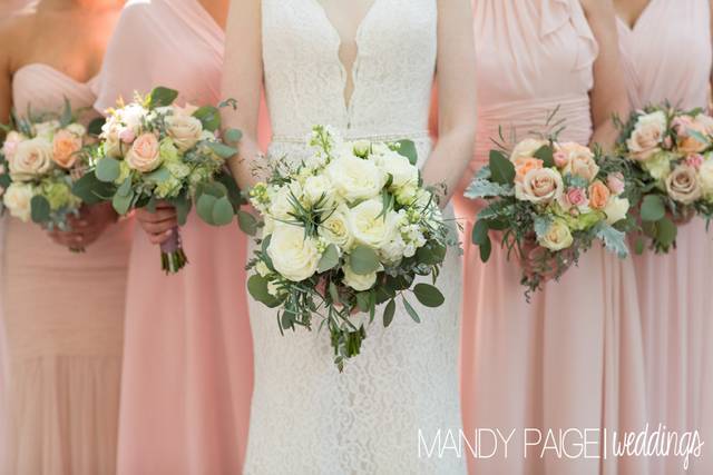 Mandy Paige Photography