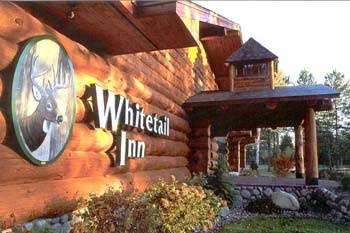 Whitetail Inn at night