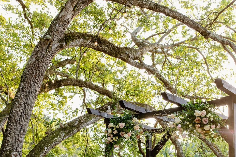 Living Sculpture Sanctuary