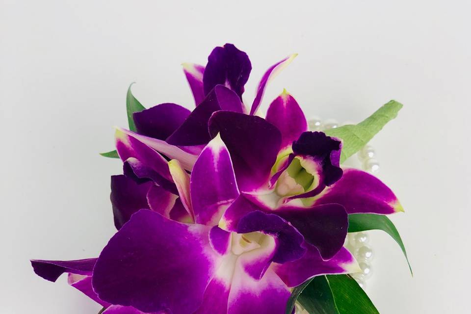 Orchids corsage