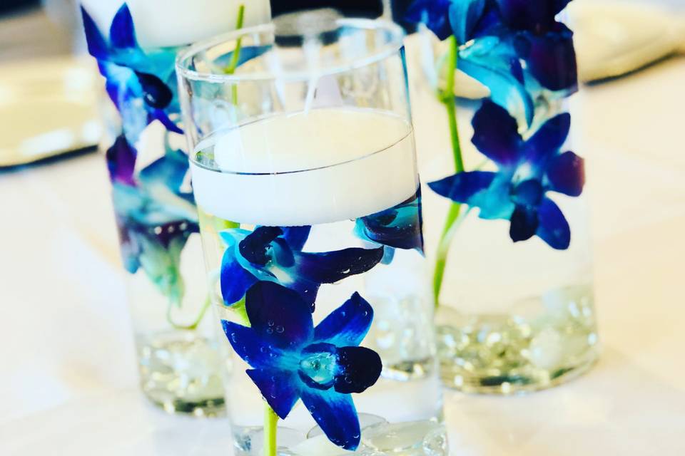 Table Orchids