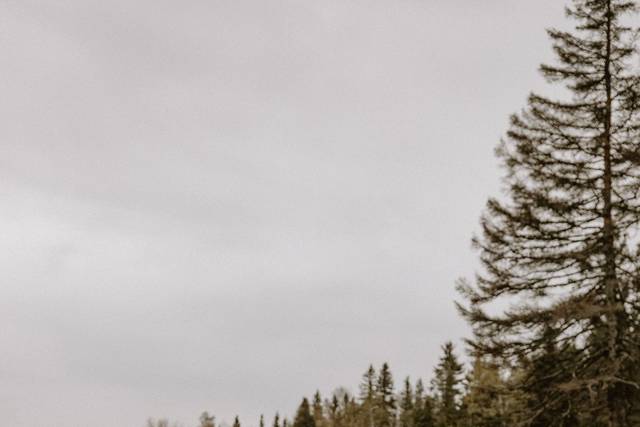 North Shore Engagement Session