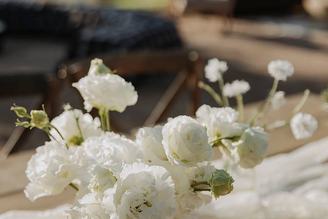 Classic White