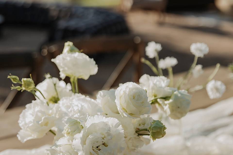Classic White