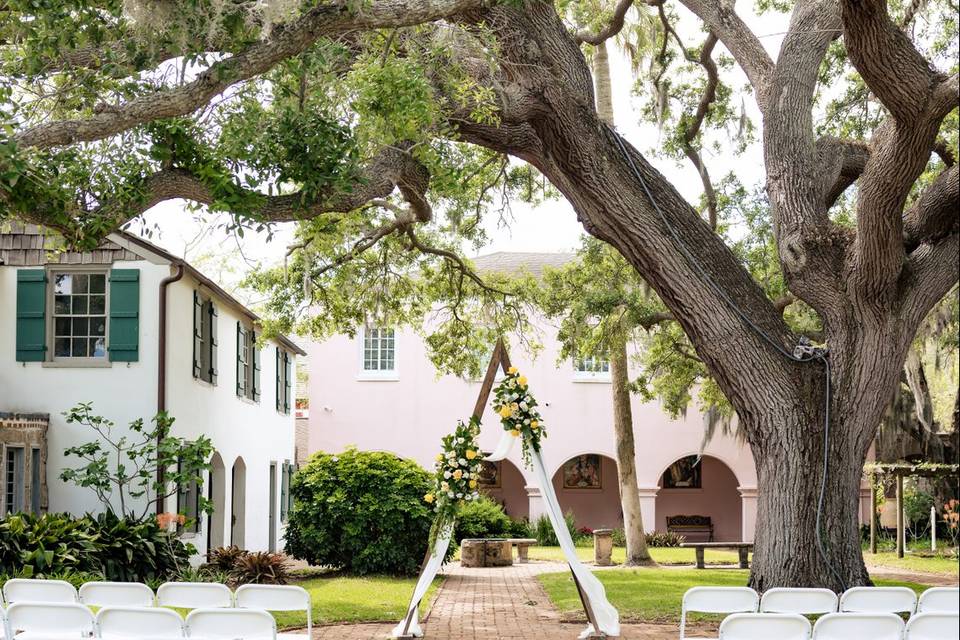 Tree set up