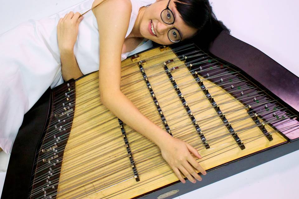 With the dulcimer