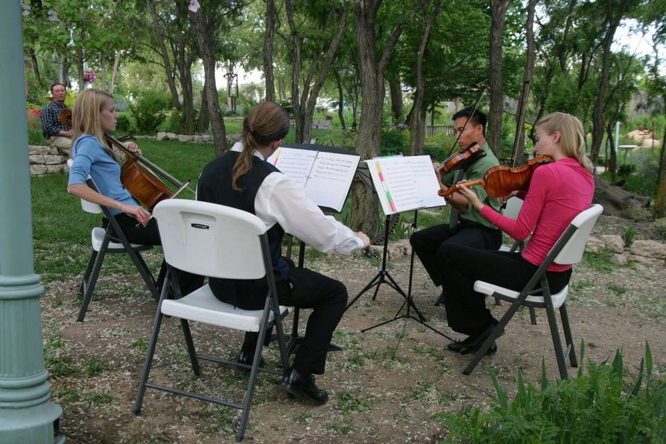 String quartet