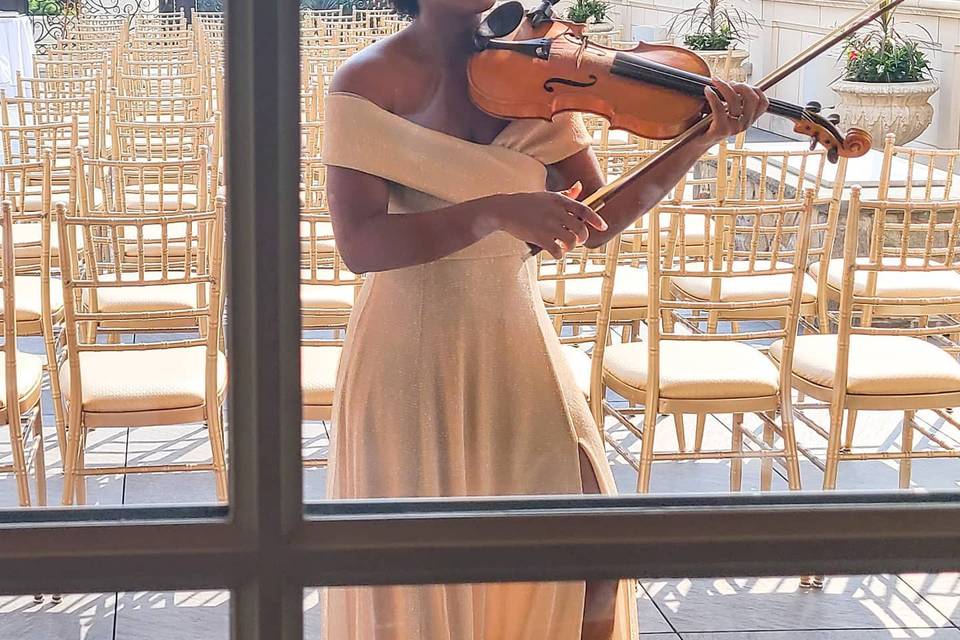 Violinistix by Sue
