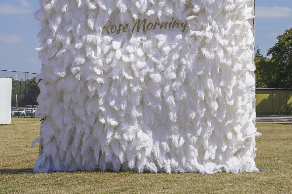 White feather wall