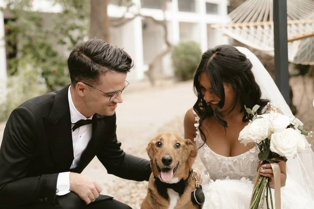 Megan Cary Photography