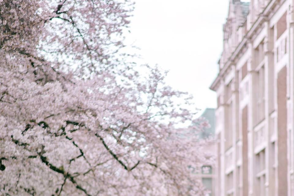 University of Washington