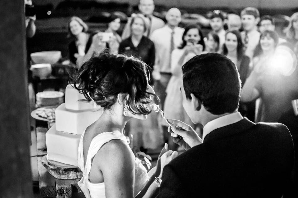 Moy Bogarin Photography