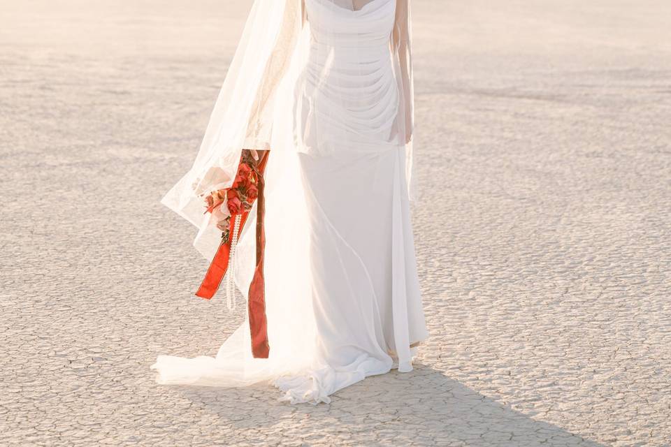 Las Vegas Dry Lake Bed Wedding