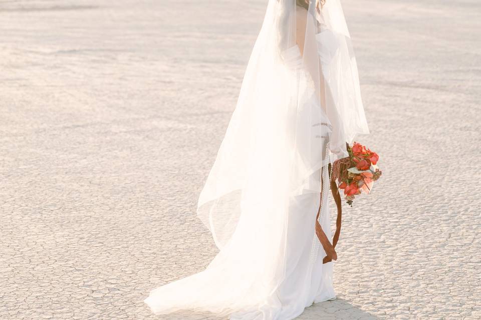 Las Vegas Dry Lake Bed Wedding