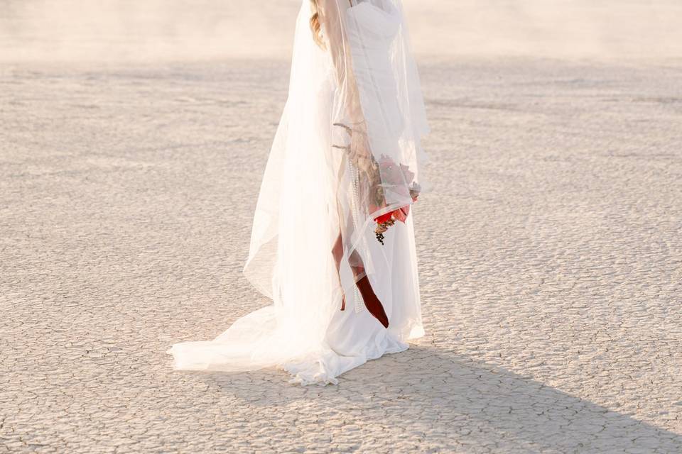 Las Vegas Dry Lake Bed Wedding