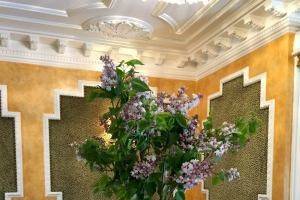 Purple flowers