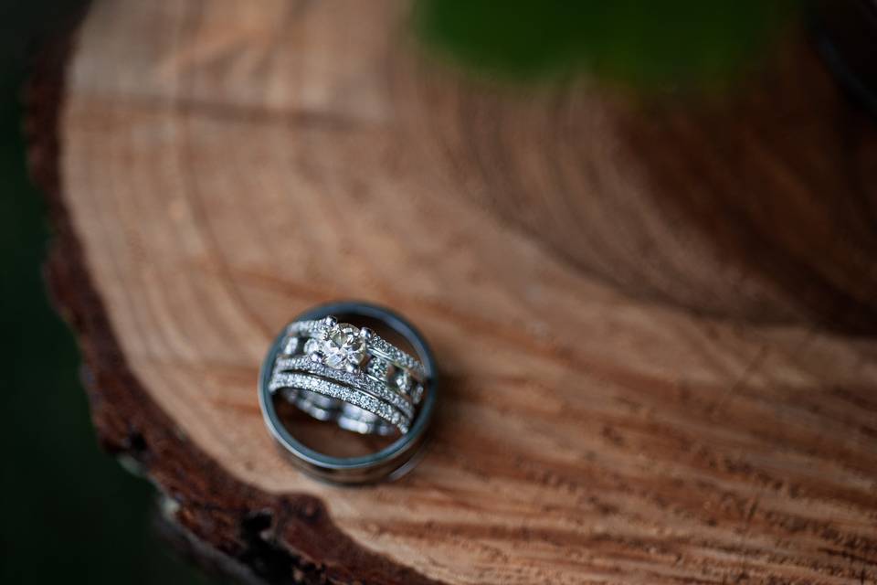 JenRenee Photography