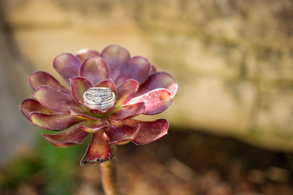 JenRenee Photography