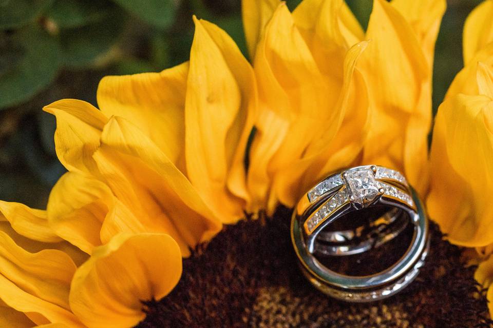 JenRenee Photography