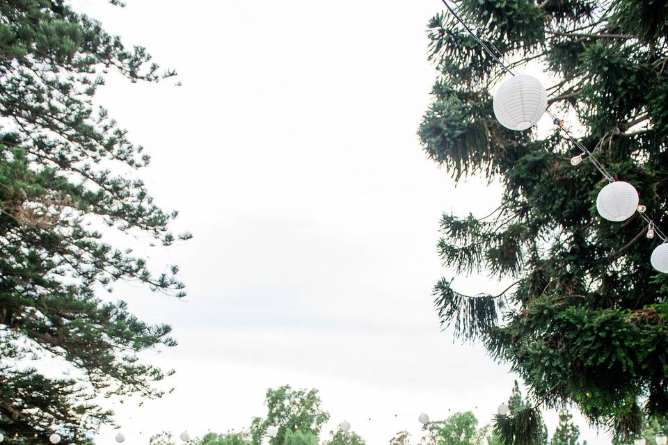 JenRenee Photography