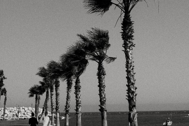 By the sea