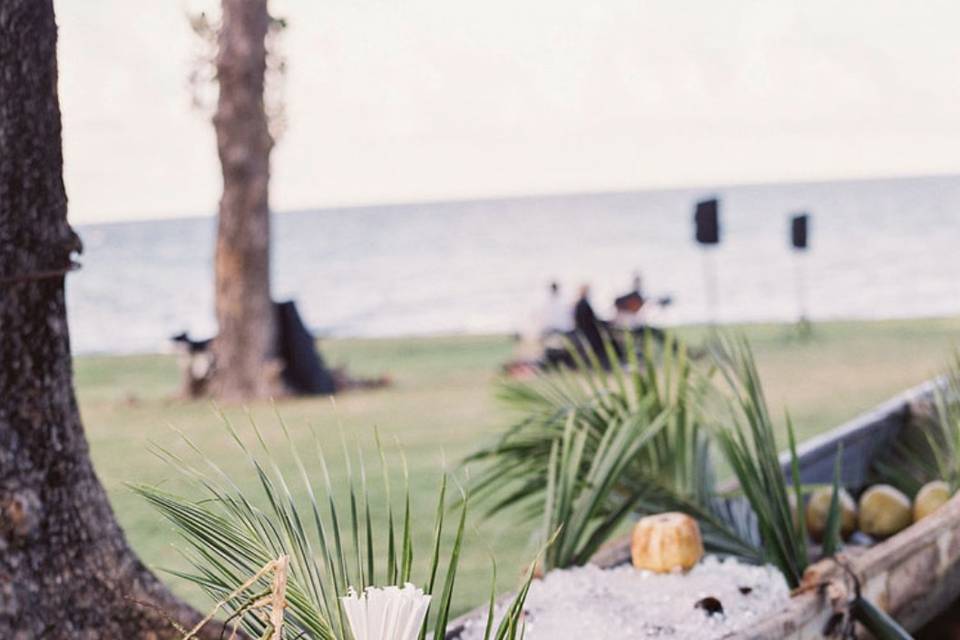 Coconut boat display