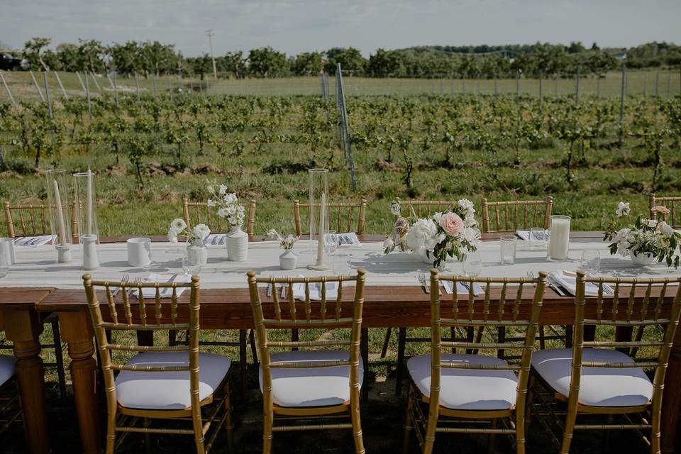 Farm table and chiavari chairs