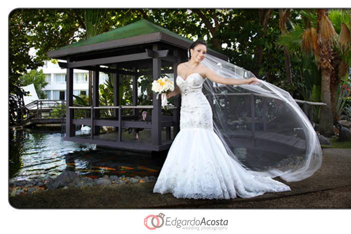 Edgardo Acosta Wedding Photography
