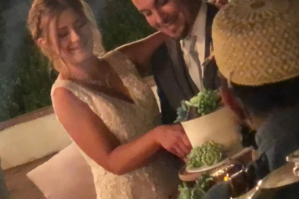 Cake Cutting