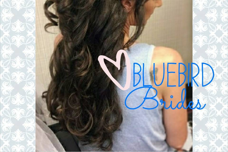 Bluebird Brides