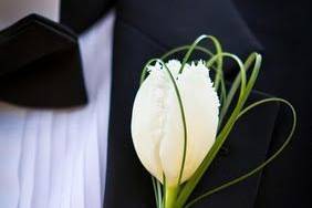 Groom Boutonniere