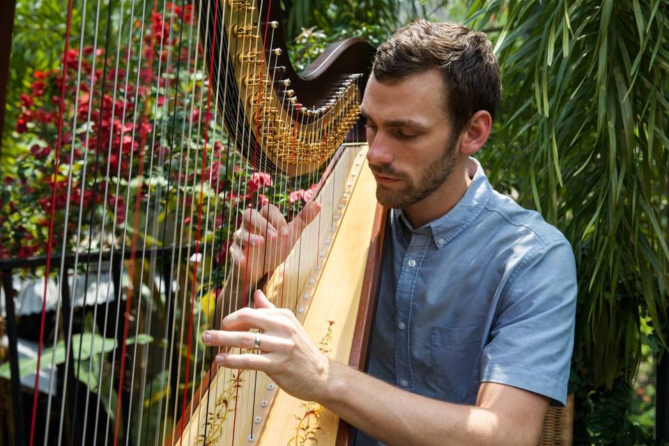 The Coastal Harpist
