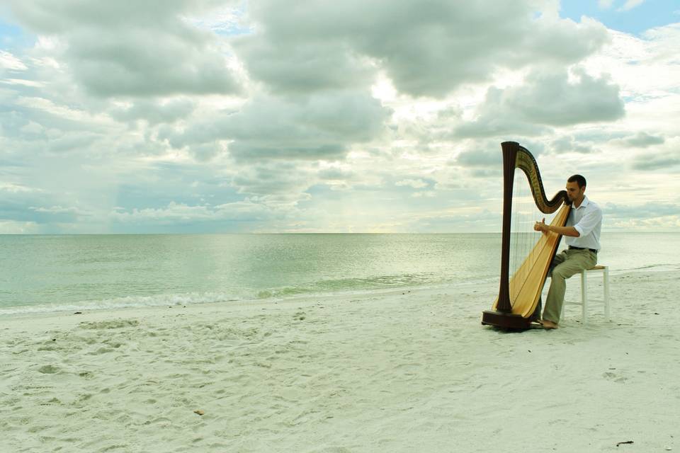 Coastal Harpist