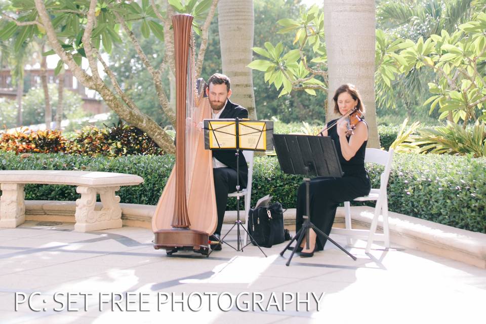 Harp and violin duo