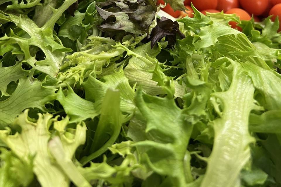 Fresh Greens for your salads