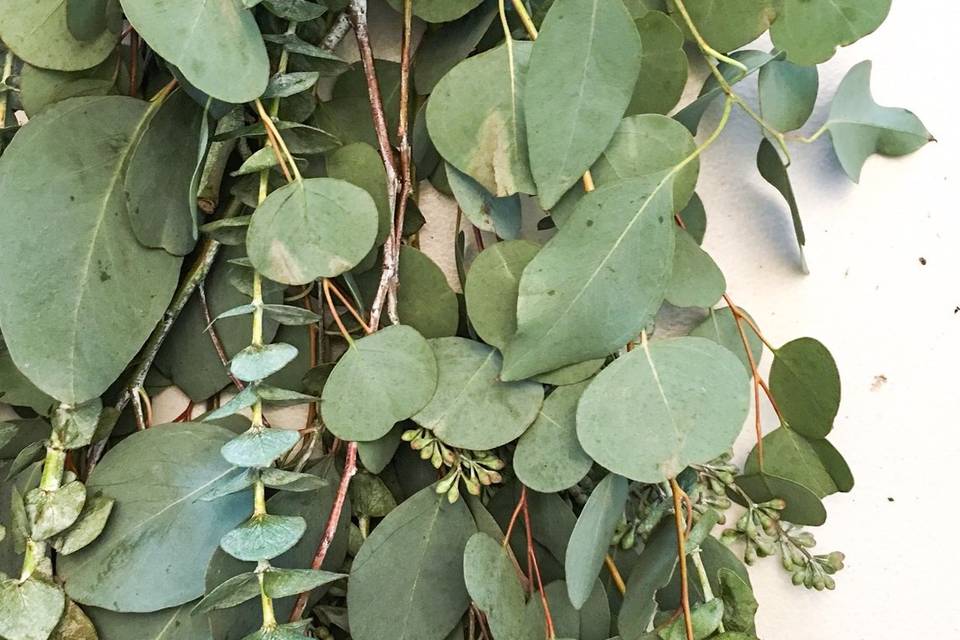 Eucalyptus mix garland