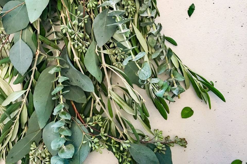 Eucalyptus + olive mix