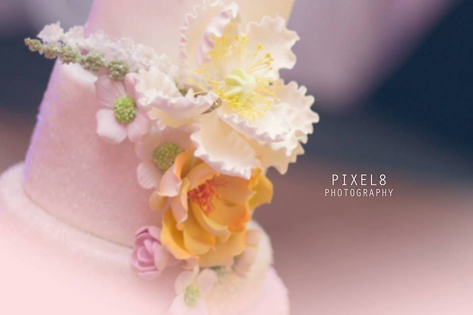Bella's Bliss Bakery