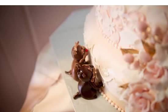 Bella's Bliss Bakery