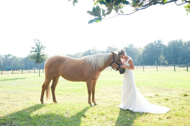 Abbey Saxton Photography